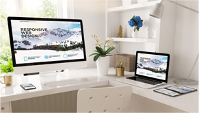 Website Design
